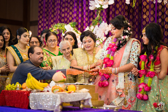 Dallas_Indian_Wedding_Satak_Photos_Biyani_Photo_559