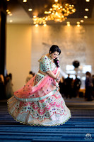 Dallas_Indian_Wedding_Satak_Photos_Biyani_Photo_015