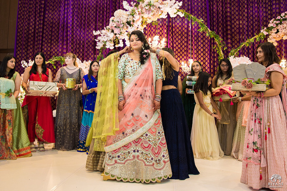 Dallas_Indian_Wedding_Satak_Photos_Biyani_Photo_703