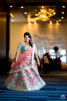 Dallas_Indian_Wedding_Satak_Photos_Biyani_Photo_018