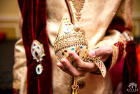 BAPS_Shri_Swaminarayan_Mandir_Wedding_Baraat_Photos_Houston_TX_008