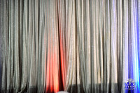 Biyani_Photo_IACCGH_Gala_Ambassador_Verma_Decor_Detail_Photos_Houston_TX_0012